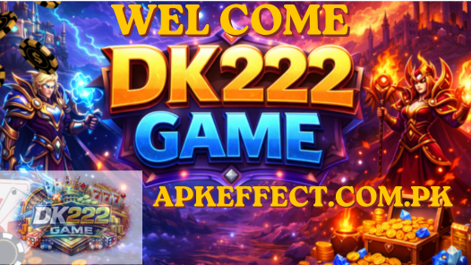DK222 Game
