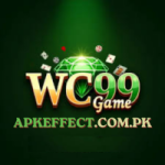 WC999 Game